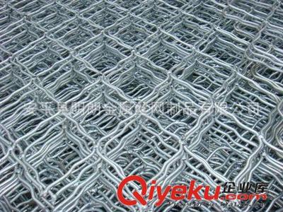 1000絲美格網 粗絲美格網 結實耐用美格網圖片|1000絲美格網 粗絲美格網 結實耐用美格網產品圖片由安平縣明朗金屬絲網制品公司生產提供-