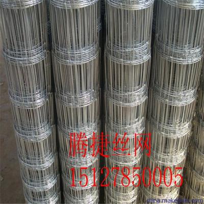 直供阜平縣草原圍欄網(wǎng)牛欄網(wǎng)規(guī)格圖片,直供阜平縣草原圍欄網(wǎng)牛欄網(wǎng)規(guī)格圖片大全,安平縣騰捷金屬絲網(wǎng)制品廠-